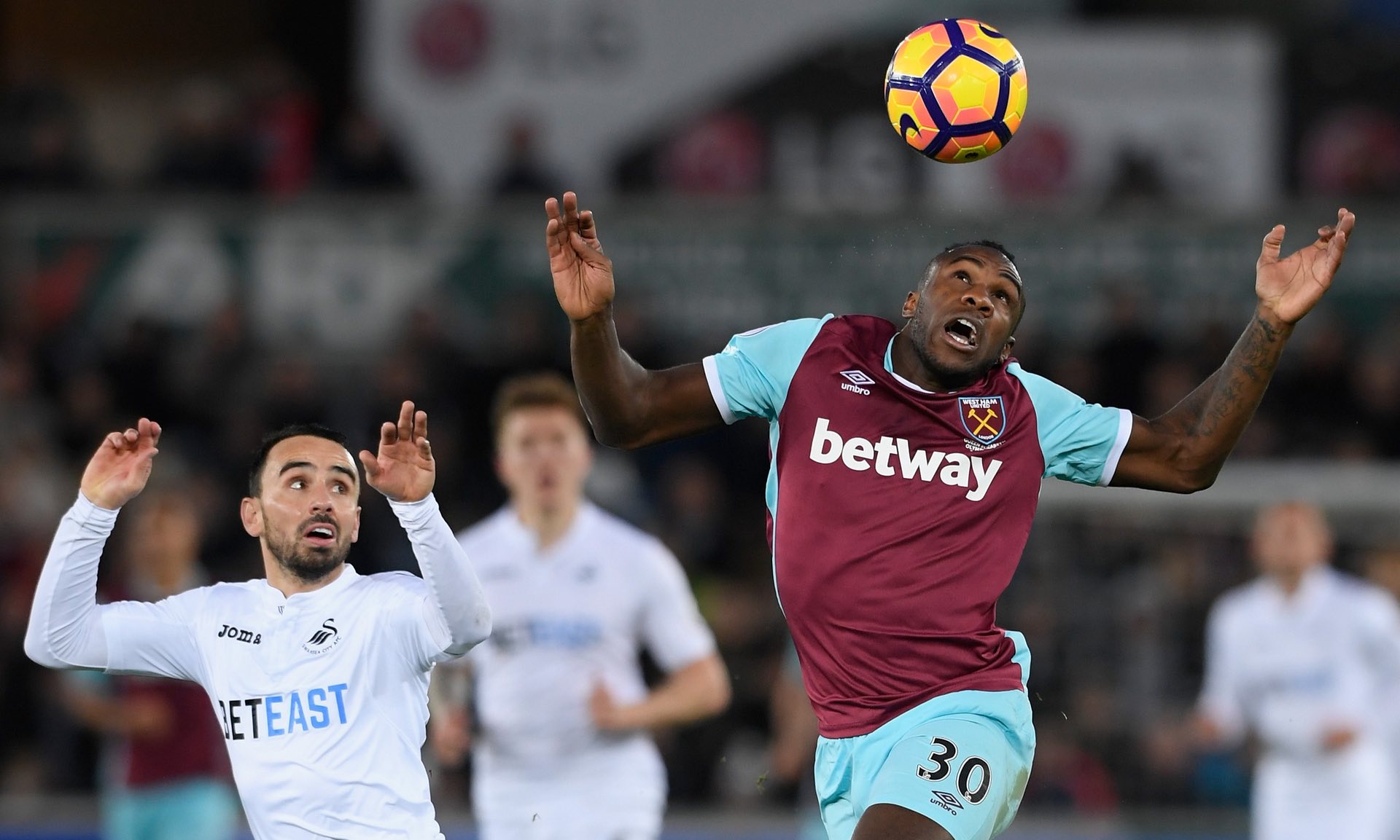 中的信心 中的信心