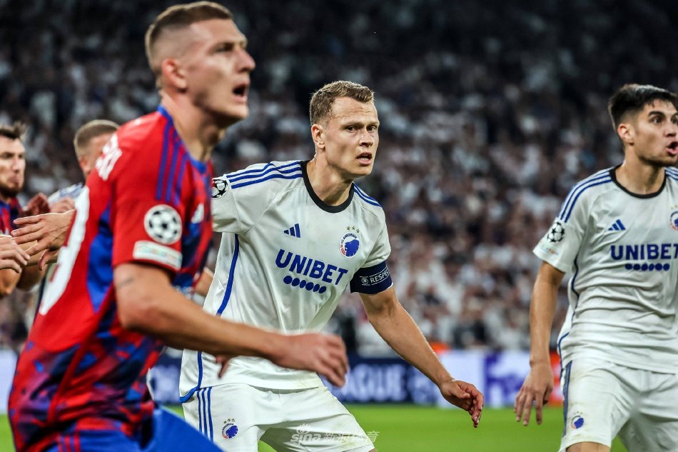 仅代表了各 仅代表了各